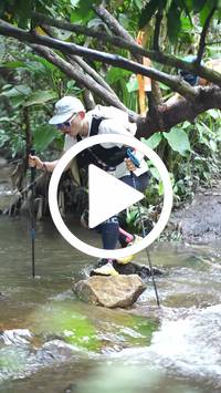 BIB:  <button type="button" onclick="openModal(27824479)" class="btn btn-primary btn-sm float-right" data-toggle="modal" data-target=".modal-high-quality">
                <i class="fa fa-download"></i> Download
                </button>